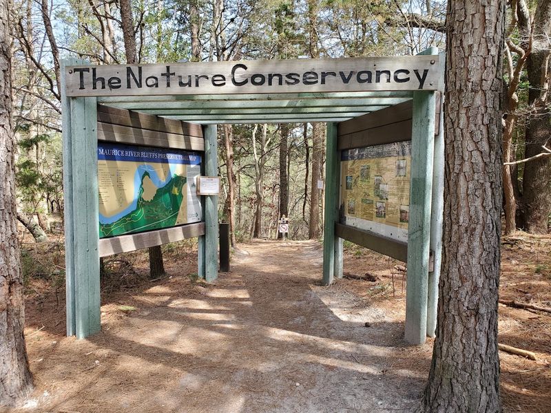 Maurice River Bluffs Nature Preserve - Millville Maurice River Bluffs Nature Preserve - Millville