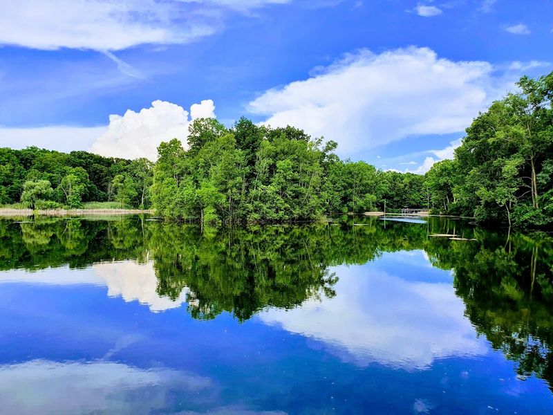 Maybury State Park Trails – Northville, Wayne County