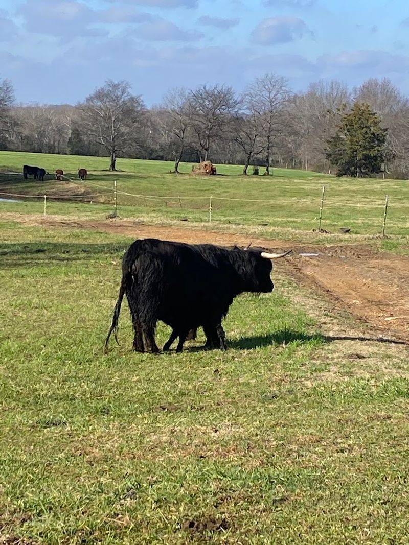 Meet The Friendly Farm Animals Along The Way Meet The Friendly Farm Animals Along The Way