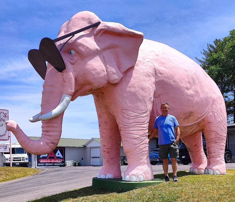 Meet The Giant Pink Elephant Waiting Beside The Road