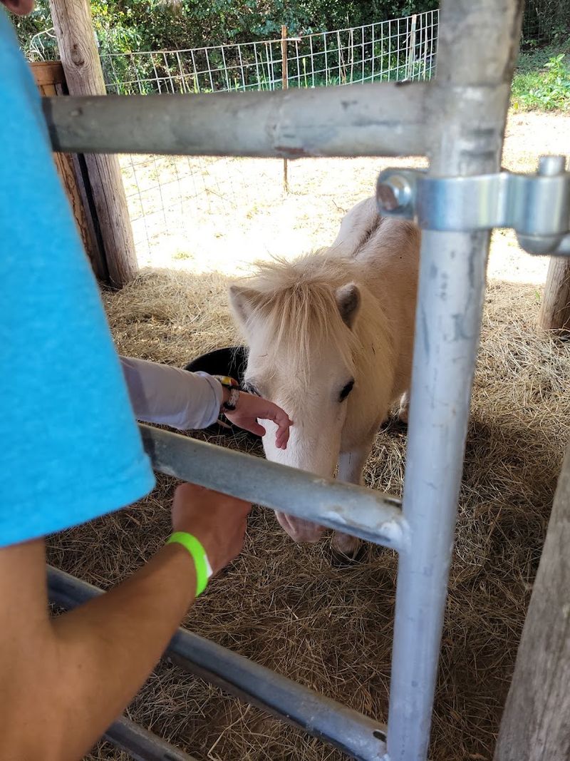 Meet the Barnyard Animals Up Close Meet the Barnyard Animals Up Close
