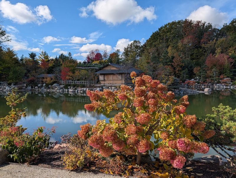 Michigan's Best-Kept Garden Secret Has a Japanese Soul Michigan's Best-Kept Garden Secret Has a Japanese Soul