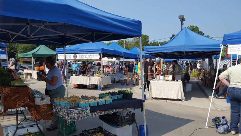 Michigan's Blueberry Legacy Behind the Celebration