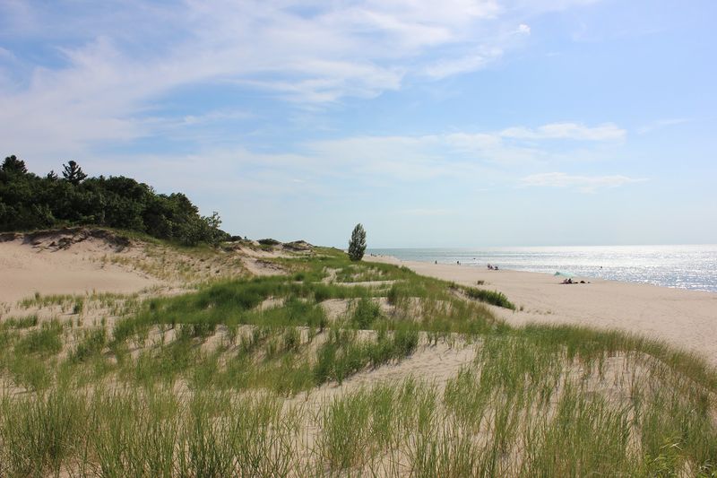 Michigan's Only Lower Peninsula Wilderness and What That Title Actually Means Michigan's Only Lower Peninsula Wilderness and What That Title Actually Means