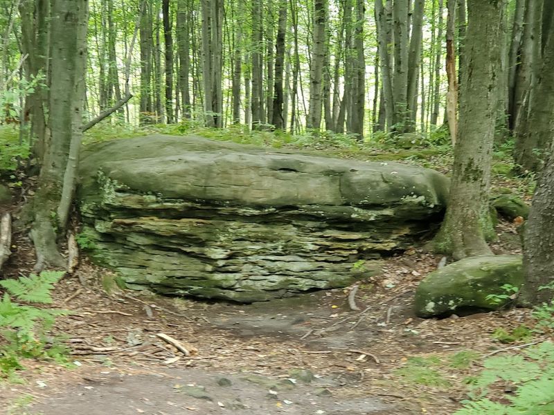 Michigan's Thumb Region Holds More Than Most People Expect