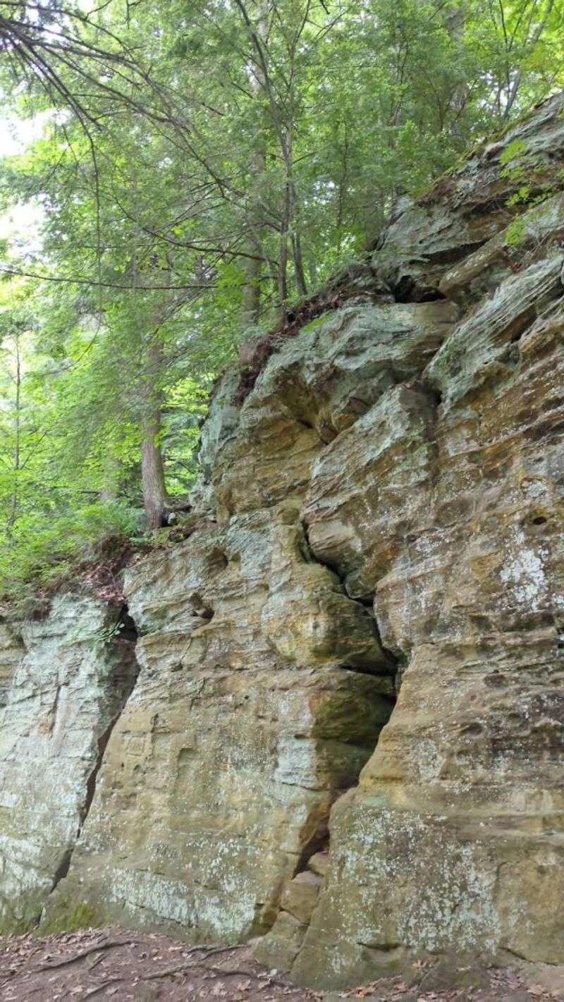Michigan’s Unexpected Stone Wall Michigan’s Unexpected Stone Wall