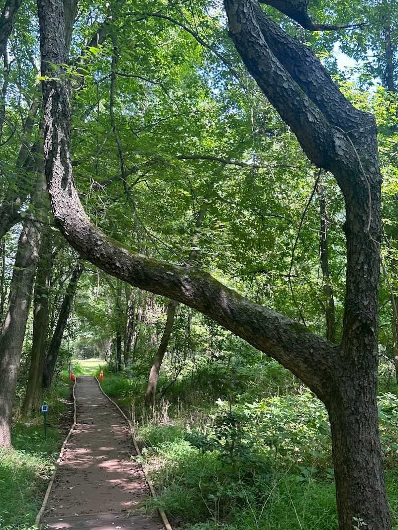 Miles of Trails Lead Through Three Distinct Corners of the Park