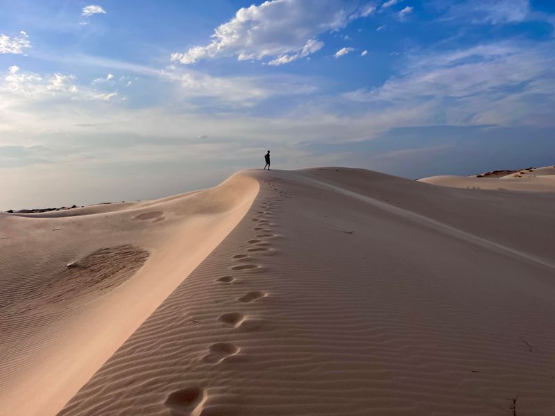 Monahans Sandhills State Park (Monahans) Monahans Sandhills State Park (Monahans)