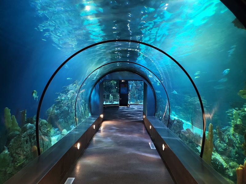 Moody Gardens (Galveston)