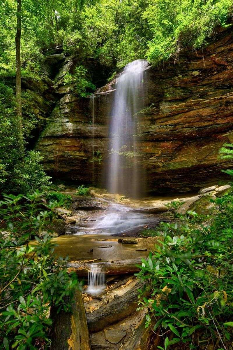 Moore Cove Trail