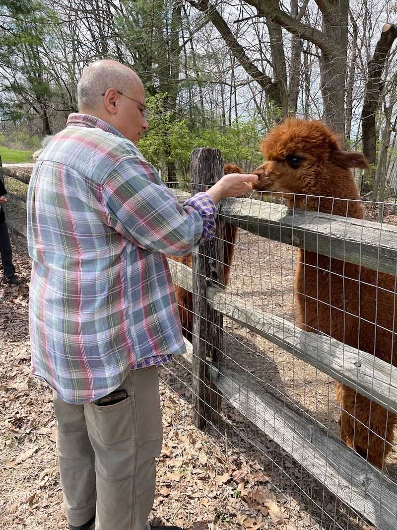 More than alpacas - shop, fiber, and farm extras More than alpacas - shop, fiber, and farm extras