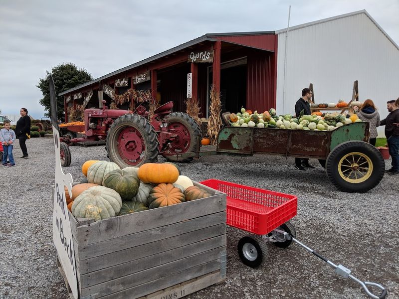 More than berries - it feels like a full farm day More than berries - it feels like a full farm day