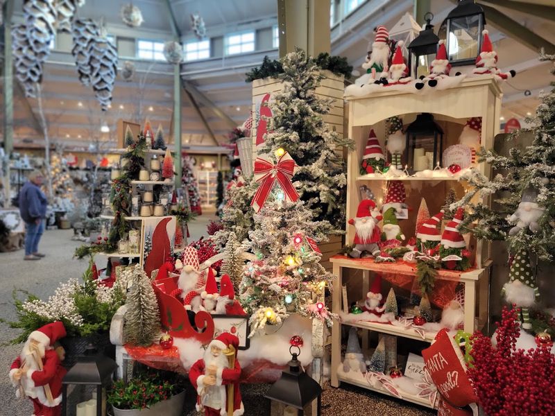 More than plants - decor, gifts, and surprises
