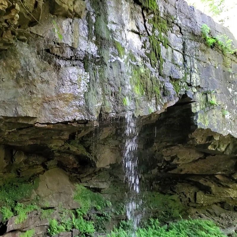Mossy Rock Walls Make The Whole Trail Feel Wild Mossy Rock Walls Make The Whole Trail Feel Wild