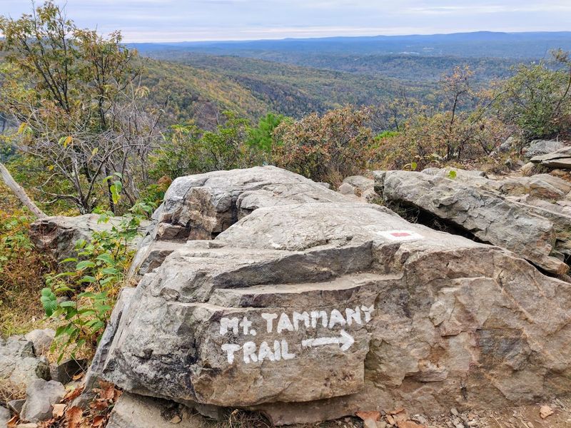 Mount Tammany Red Dot and Blue Dot Loop - Hardwick Township