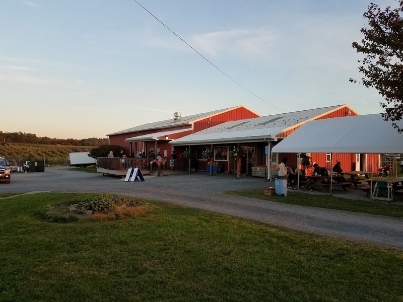 Mt. Airy Orchards (Dillsburg) Mt. Airy Orchards (Dillsburg)