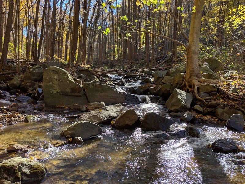 Musconetcong Gorge Preserve - Bloomsbury and Holland Township Musconetcong Gorge Preserve - Bloomsbury and Holland Township