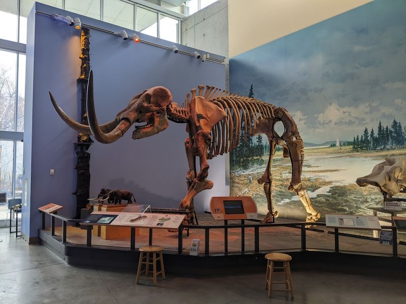 Museum Of The Earth