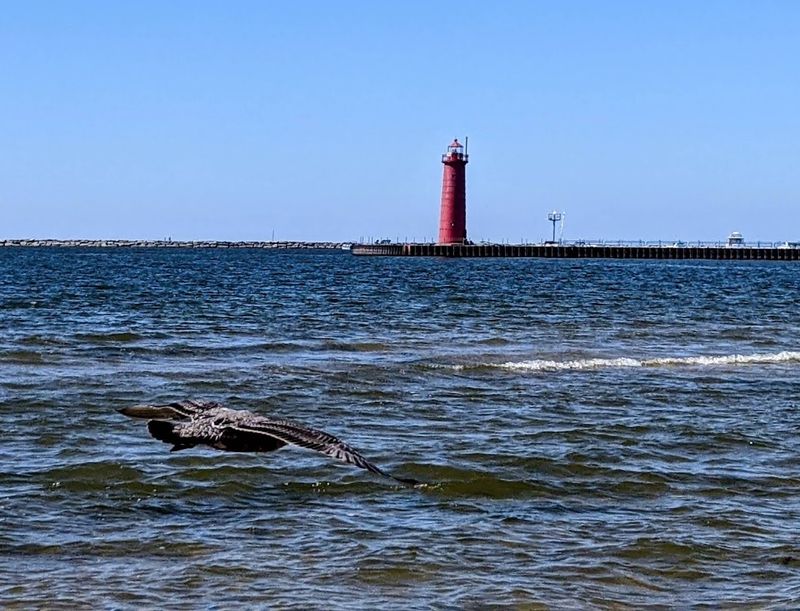 Muskegon Muskegon