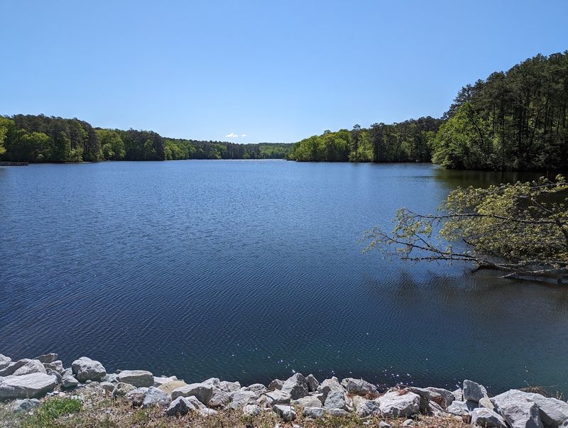 Natchez Trace State Park — Wildersville