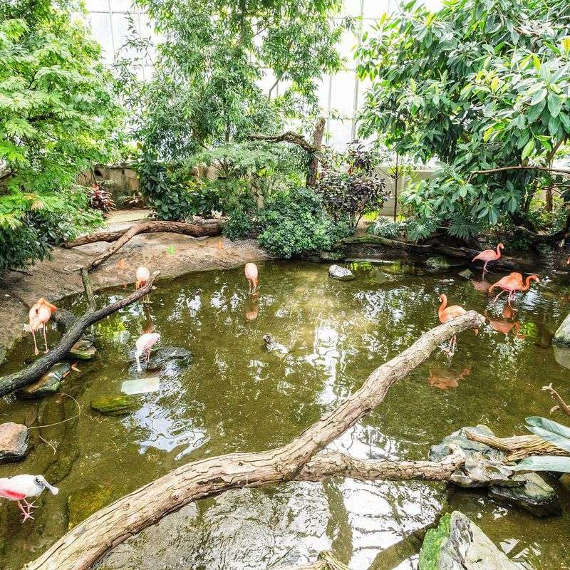 National Aviary National Aviary