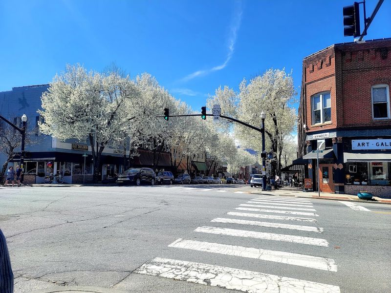 Neighborhood Streets and Parks Offer the Best Chances to Spot One Neighborhood Streets and Parks Offer the Best Chances to Spot One