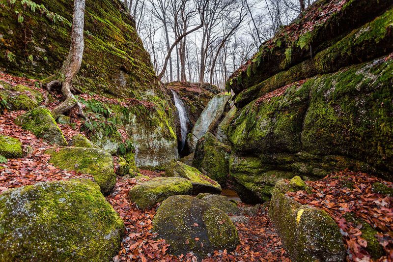 Nelson-Kennedy Ledges State Park, Garrettsville, Ohio Nelson-Kennedy Ledges State Park, Garrettsville, Ohio