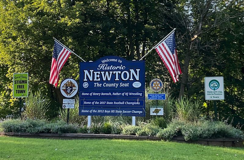 Newton