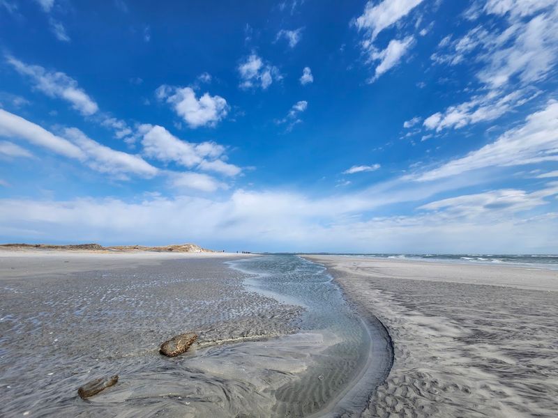 North Brigantine Natural Area - Brigantine