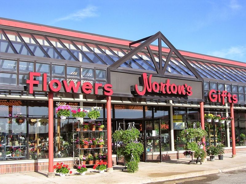 Norton’s Flowers And Gifts — Ypsilanti / Ann Arbor area Norton’s Flowers And Gifts — Ypsilanti / Ann Arbor area