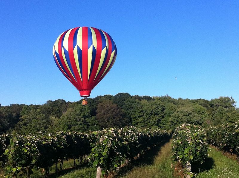 Ohio's Largest Estate Winery Experience Ohio's Largest Estate Winery Experience