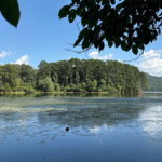One Of Tennessee's Most Overlooked Wildlife Areas Is Hiding Just Outside Chattanooga