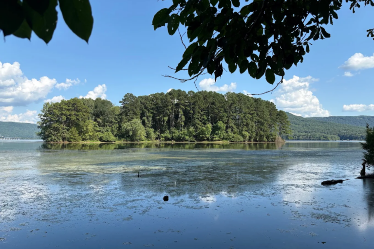 One Of Tennessee’s Most Overlooked Wildlife Areas Is Hiding Just Outside Chattanooga
