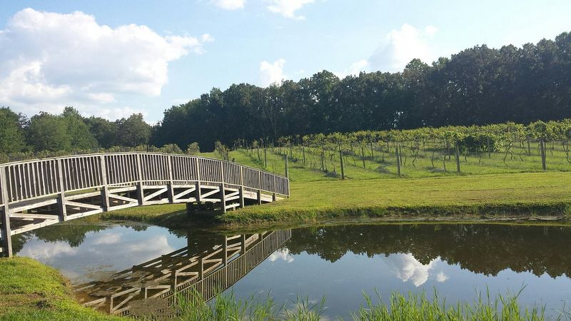 One Visit Is Enough to Make You Appreciate the Slower Pace