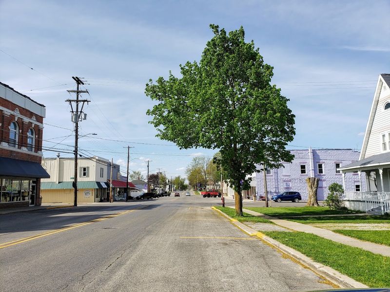 Onsted, Michigan: The Small Town Holding a Prehistoric Secret Onsted, Michigan: The Small Town Holding a Prehistoric Secret