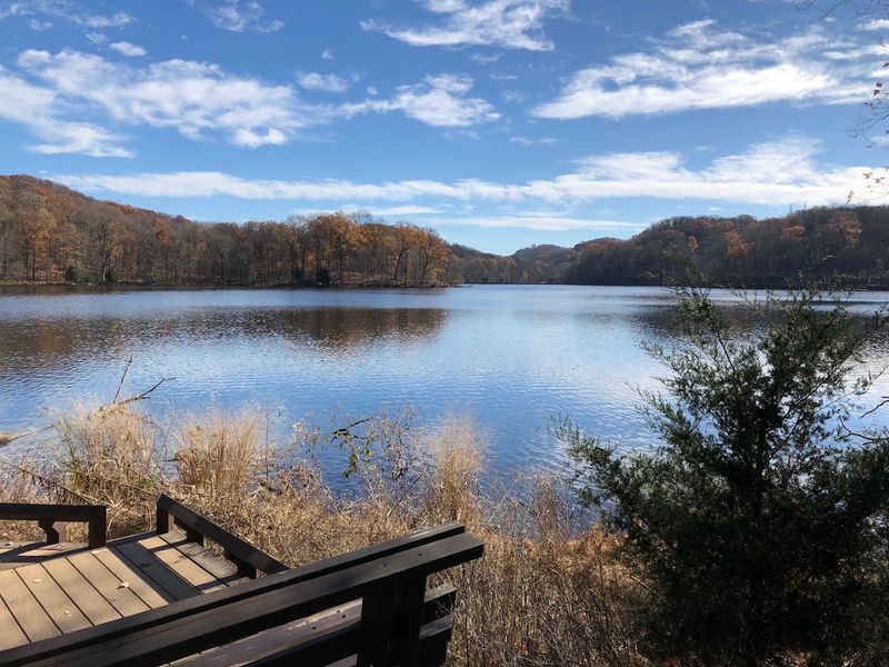 Otter Creek Road Trail — Radnor Lake State Natural Area Otter Creek Road Trail — Radnor Lake State Natural Area