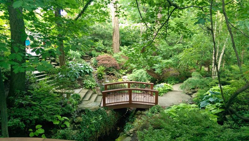 Outdoor gardens that keep unfolding Outdoor gardens that keep unfolding