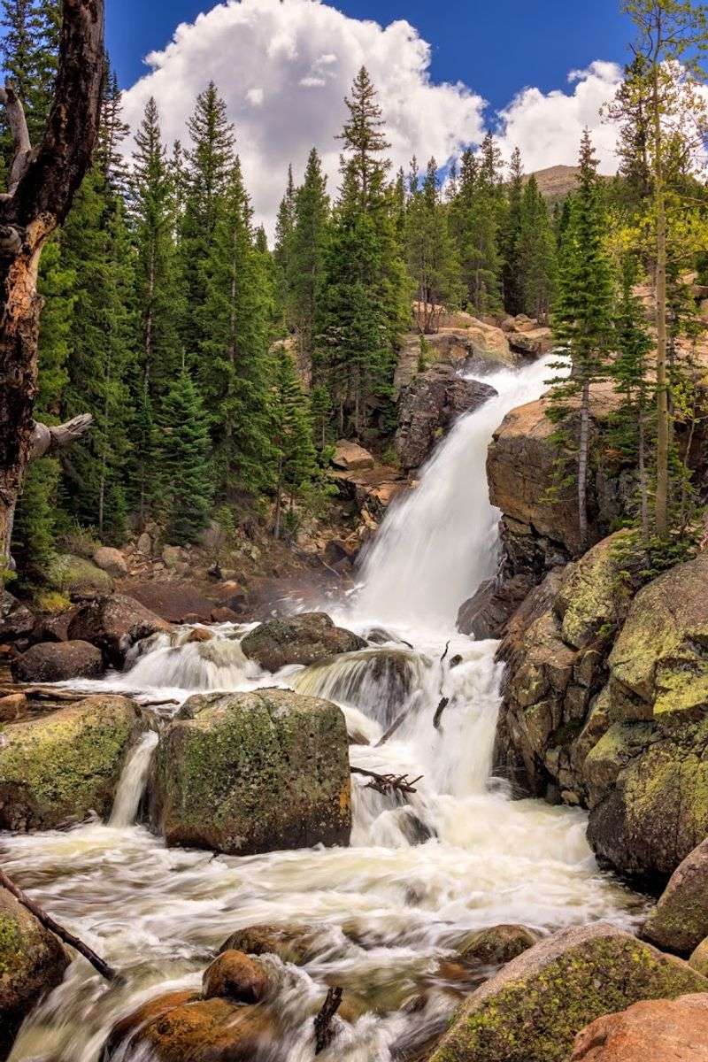Alberta Falls (Rocky Mountain National Park) Alberta Falls (Rocky Mountain National Park)