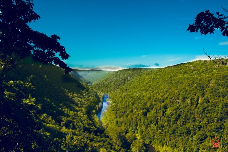 PA-44 Scenic Drive (Pine Creek Gorge) PA-44 Scenic Drive (Pine Creek Gorge)
