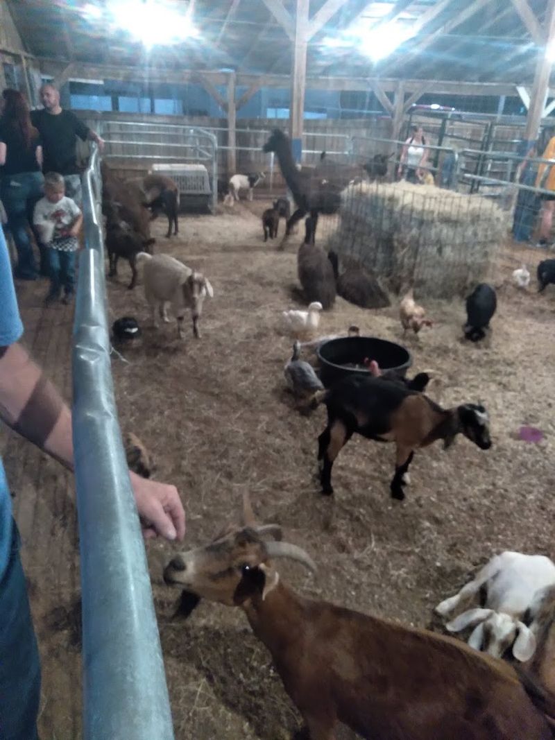 Food Vendors Serving Up Classic Fair Favorites