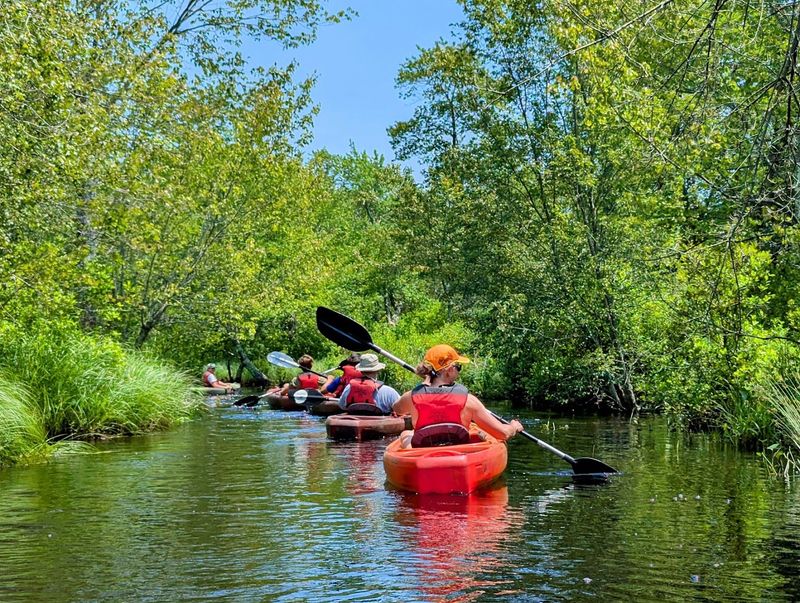 Paddle the Batsto or Mullica River with Pinelands Adventures Paddle the Batsto or Mullica River with Pinelands Adventures
