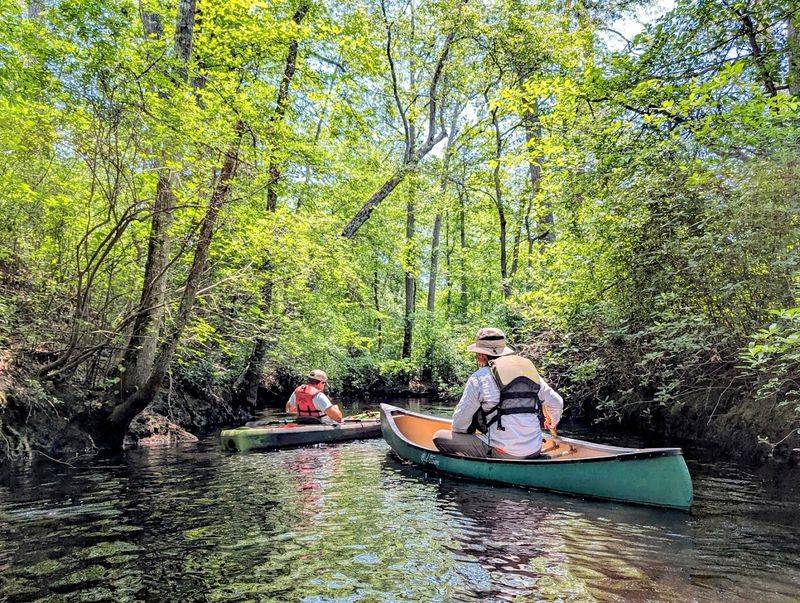 Paddle the tea-colored Mullica River through the heart of the Pine Barrens Paddle the tea-colored Mullica River through the heart of the Pine Barrens