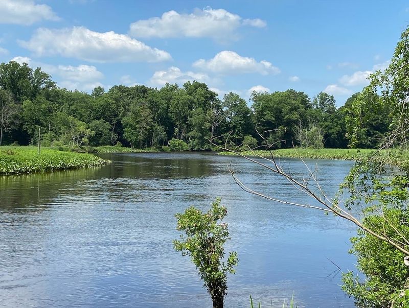 Paddling, Fishing, and Wildlife Watching Reveal the Park’s Quieter Side