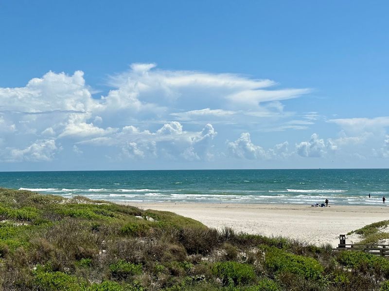 Padre Island National Seashore Padre Island National Seashore