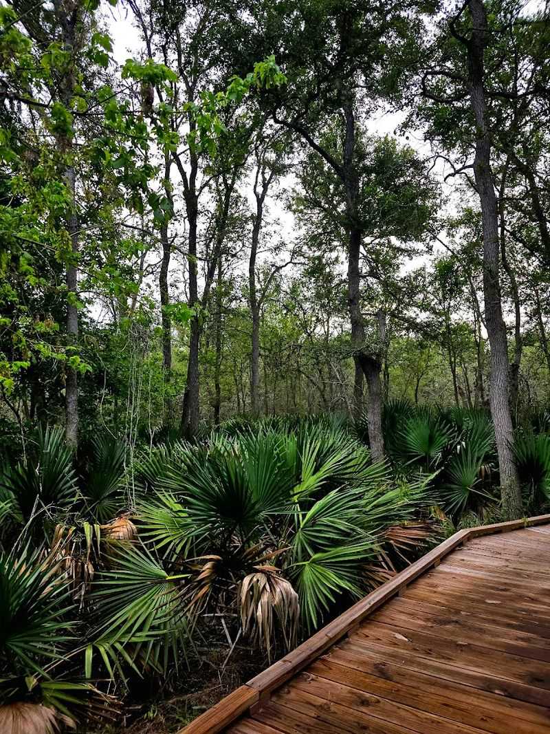 Palmetto State Park (Gonzales) Palmetto State Park (Gonzales)