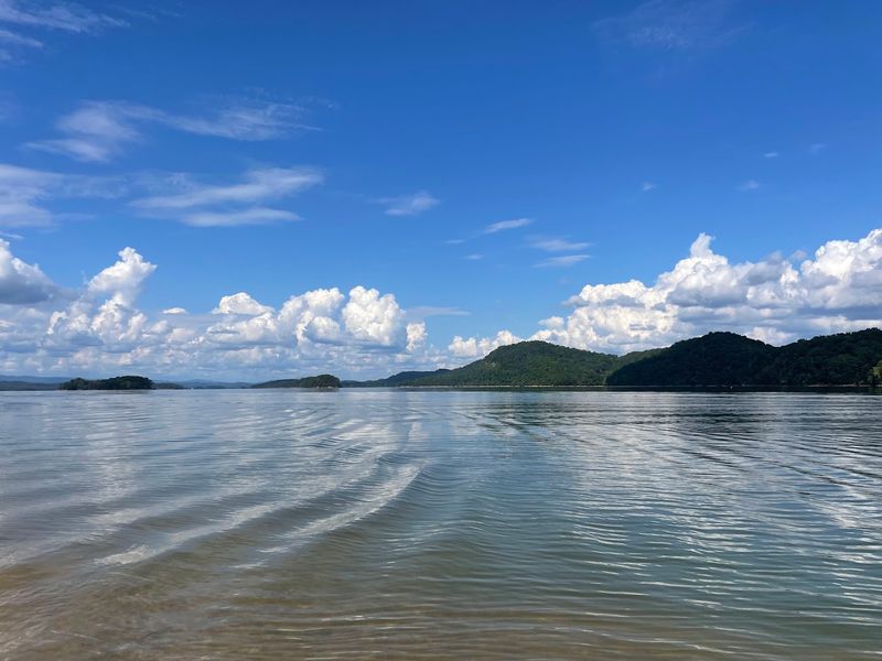 Panther Creek State Park Beach – Cherokee Lake