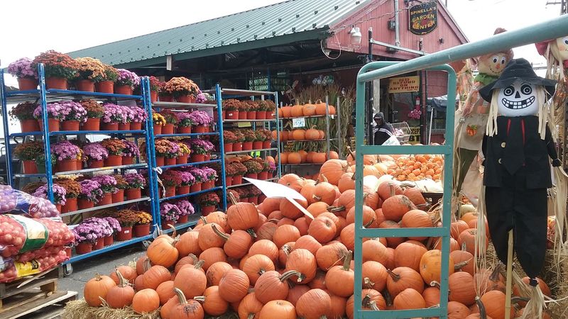 Paterson Farmers Market - Paterson Paterson Farmers Market - Paterson