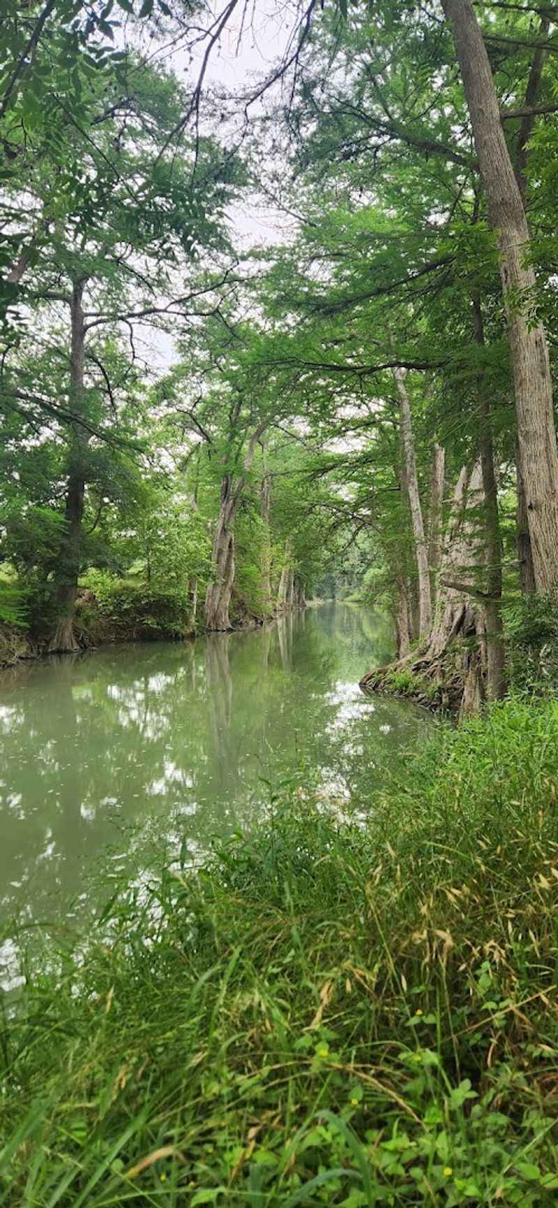 Peaceful Atmosphere Away from Tourist Crowds Peaceful Atmosphere Away from Tourist Crowds