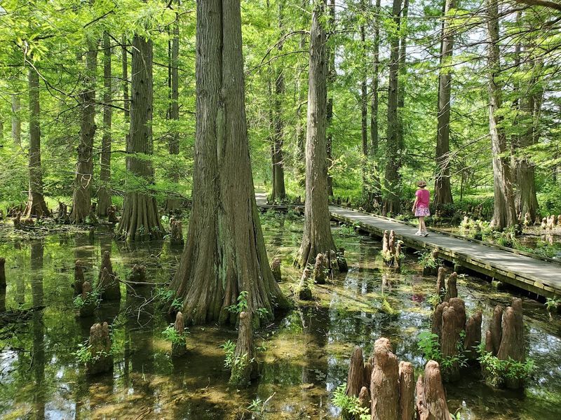 Peaceful trails for walkers, bikers, and slow explorers Peaceful trails for walkers, bikers, and slow explorers