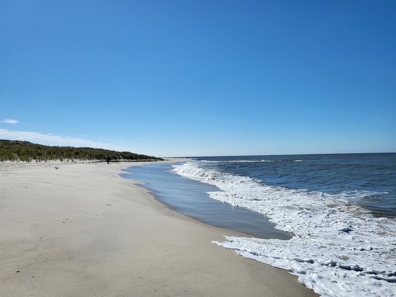 Pearl Avenue Beach Feels Worlds Away From the Usual Jersey Shore Pearl Avenue Beach Feels Worlds Away From the Usual Jersey Shore